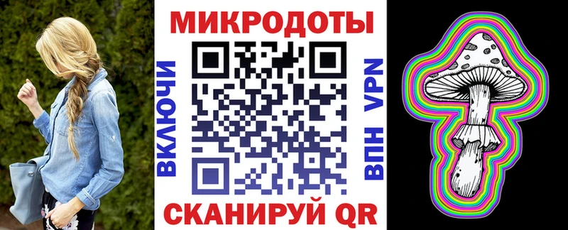 Галлюциногенные грибы Psilocybine cubensis  Вилючинск 